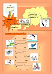 English Worksheet: can and cant