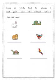 English worksheet: wild animals