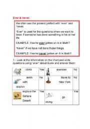 English worksheet: EVER-NEVER