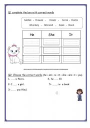English Worksheet: prounouns