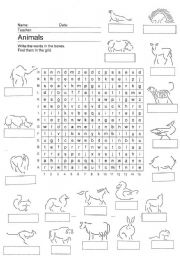 English Worksheet: Picture Word Search - Animals