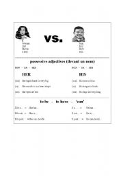 English worksheet: his vs her