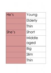 English worksheet: Heights, ages, sizes + writing exercise