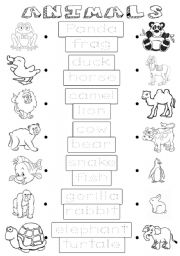 English Worksheet: Animals 2