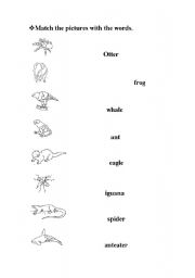 English worksheet: animals