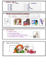 worksheet about the senses