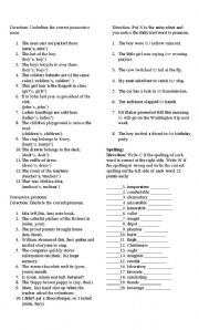 English Worksheet: Pronouns, spelling, possessive nouns,