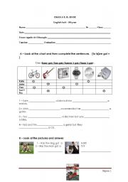 English Worksheet: Test : verb have got, objects, animals and describing animals