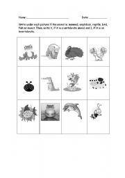 English worksheet: Classify animals