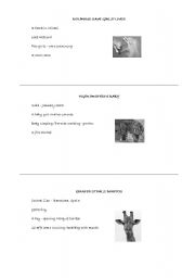 English Worksheet: animals-past simple & continuous