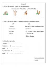 English worksheet: vocabulary practice