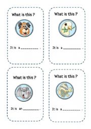 animal flashcards (part 1 )