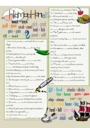 English Worksheet: Homophones 