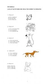 English worksheet: Pet Animals