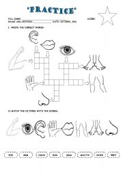 English Worksheet: puzzle body