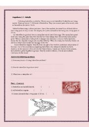 English Worksheet: Comprehension passage about Butterflies.