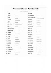 English Worksheet: Animals and Insects Word Scramble