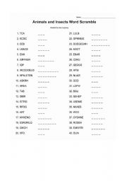 English worksheet: Animals and Insects Word Scramble