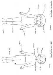 my body& my face