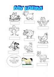 English Worksheet: my farm