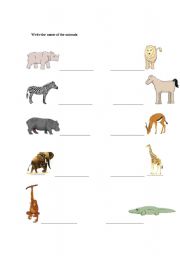 English worksheet: Write the name of the animals