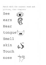 English Worksheet: My five senses