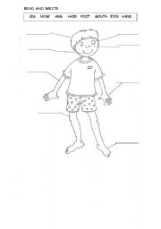 English Worksheet: Parts of the Body