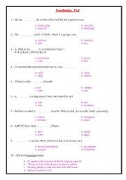 English worksheet: vocabulary test