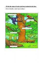 English worksheet: Rain forest animals