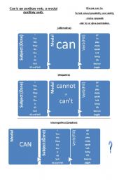 English worksheet: The Model 