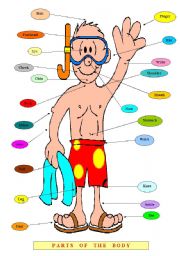 English Worksheet: BODY PARTS