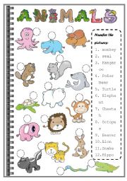 English Worksheet: ANIMALS