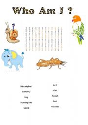 English Worksheet: word search