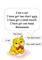 English Worksheet: a cat/ body parts