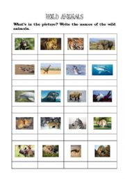 English Worksheet: Wild animals