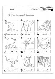 English Worksheet: write the name of the animal