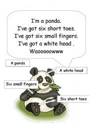 panda body