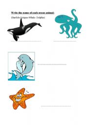 English worksheet: Ocean animals