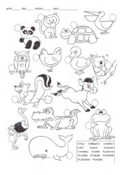 English Worksheet: animal