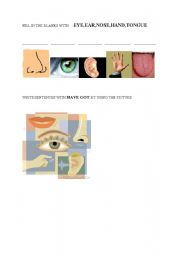 English Worksheet: have got with the vocabulary:eyes ears mouth nose hands and fngers and a/an!