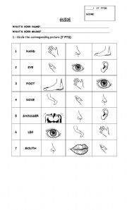 English Worksheet: parts of the body