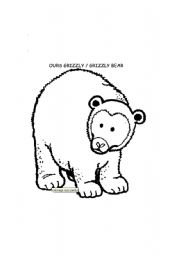 English Worksheet: Learn the animals