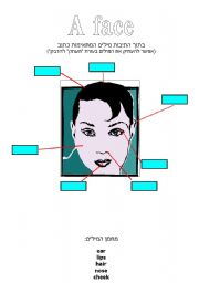 English Worksheet: face