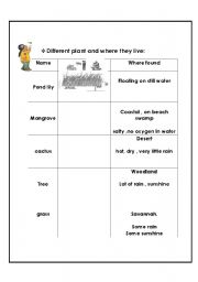 English Worksheet: plant