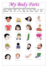 English Worksheet: My Body Parts