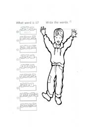 English Worksheet: The body parts