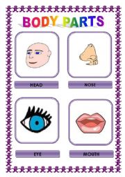 English Worksheet: Body Parts - flashcards (4 pages)