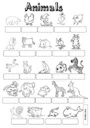 English Worksheet: Animals pictionary B&W