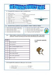 English Worksheet: Present Perfect Tense