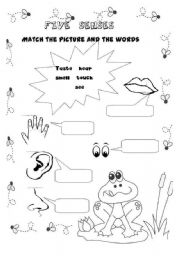 English Worksheet: five senses